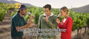 Best Wine Regions in Spain Every Wine Lover Should Visit