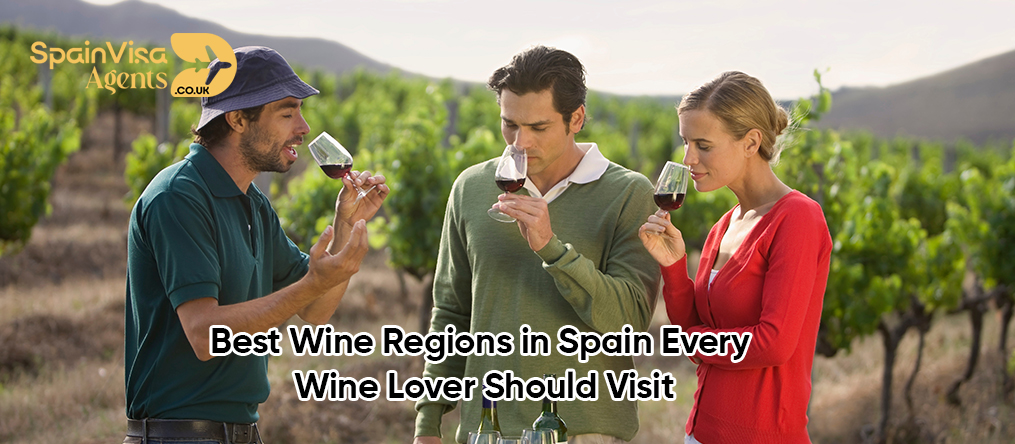 Best Wine Regions in Spain Every Wine Lover Should Visit